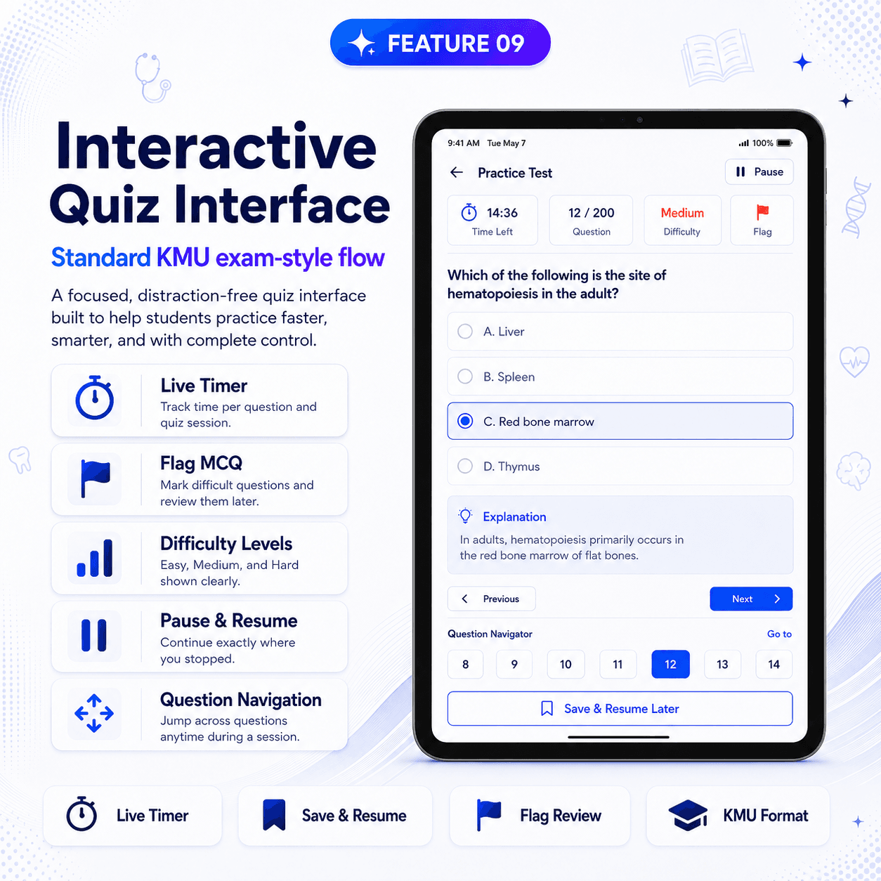 Interactive Quiz Interface