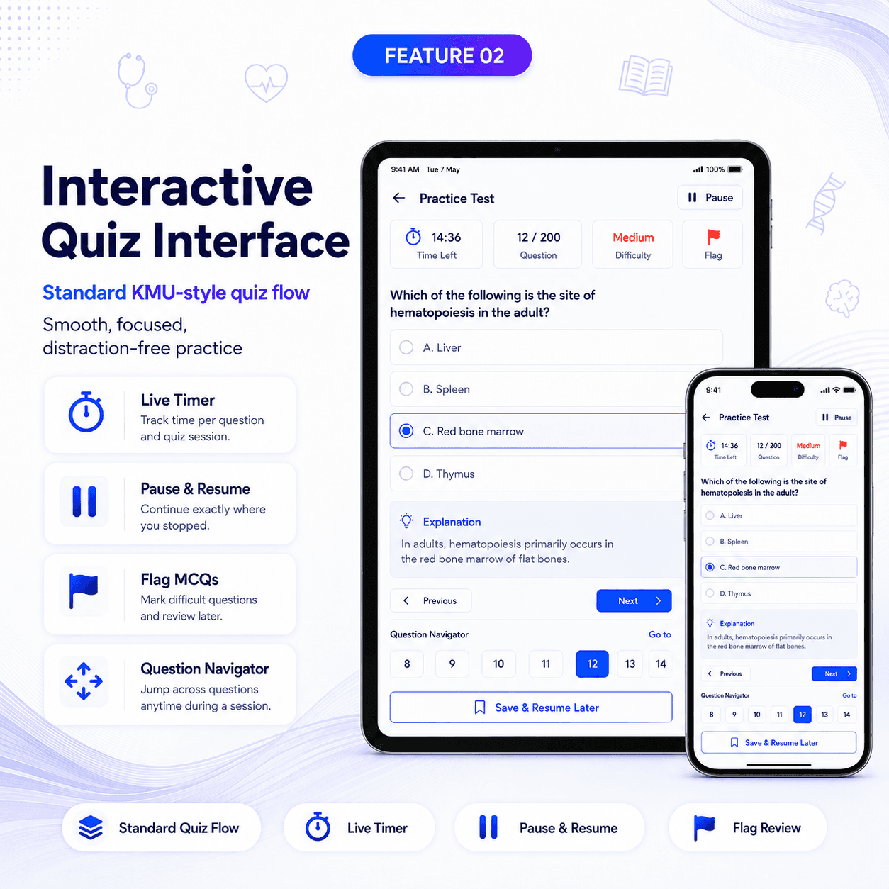 Interactive Quiz Interface