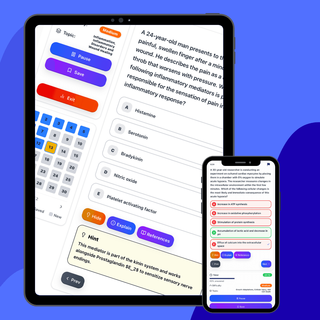 Interactive Quiz Interface